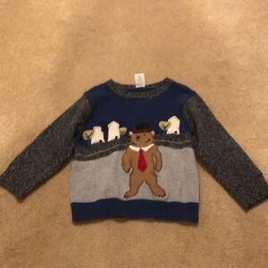 𝅺gymboree sweater
